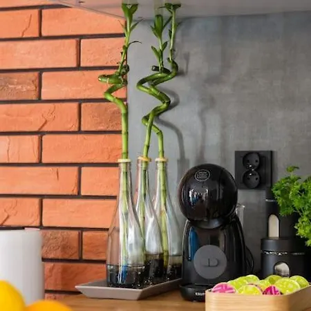 Zygmunta Starego 2-bedroom