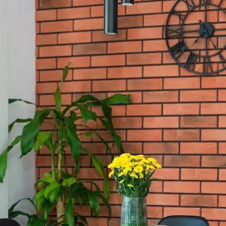 Zygmunta Starego 2-bedroom *