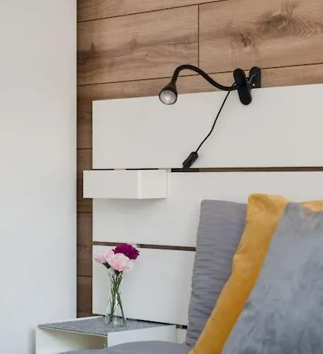 Zygmunta Starego 2-bedroom גליביצ'ה