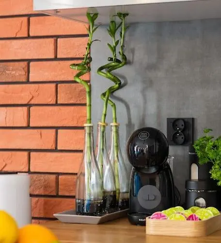 Zygmunta Starego 2-bedroom