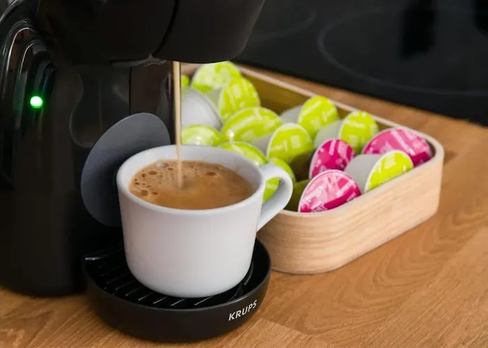 Zygmunta Starego 2-bedroom * גליביצ'ה